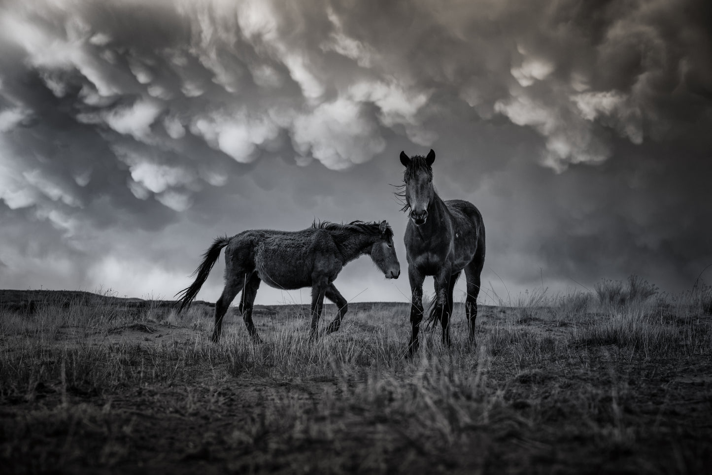 Endurance
