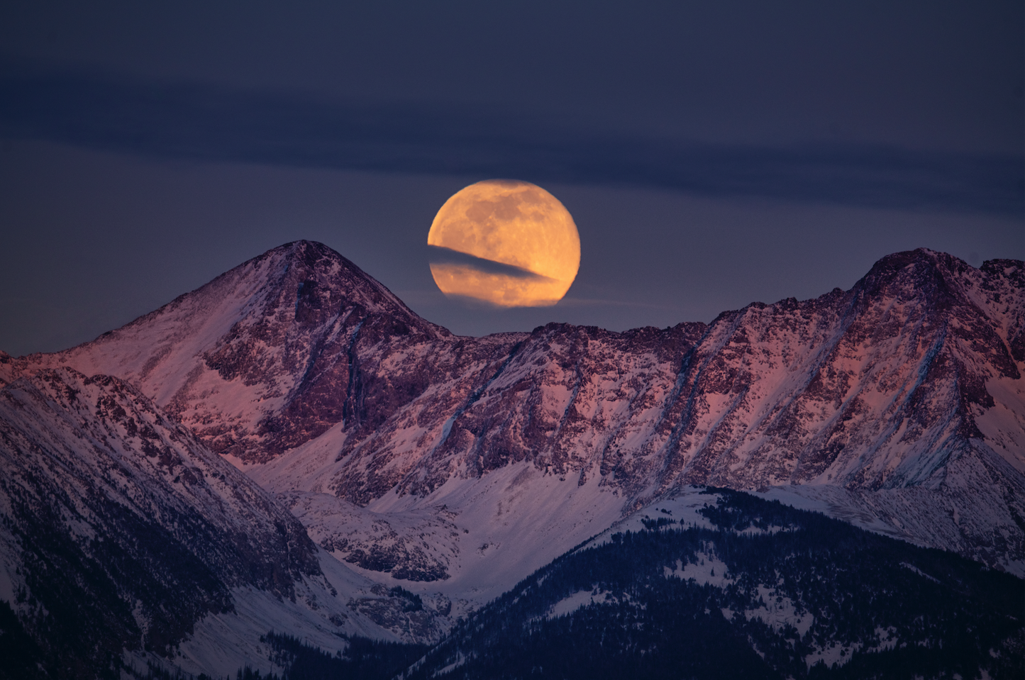 Wolf Moon